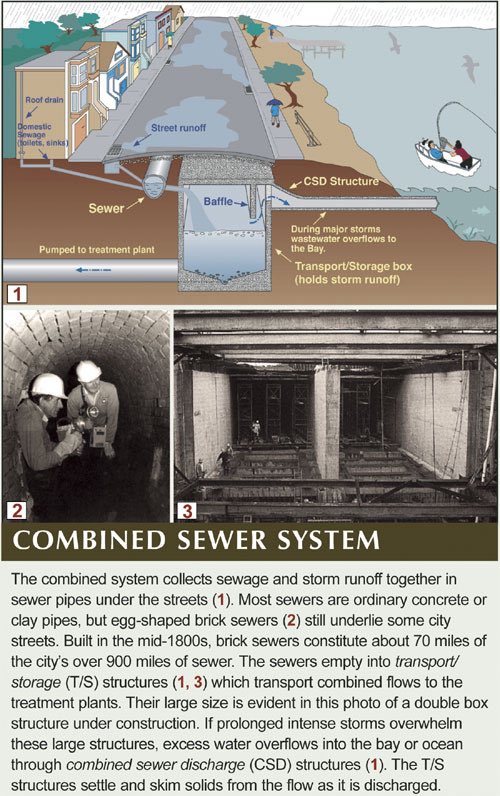 Breeze 👑 tweet media