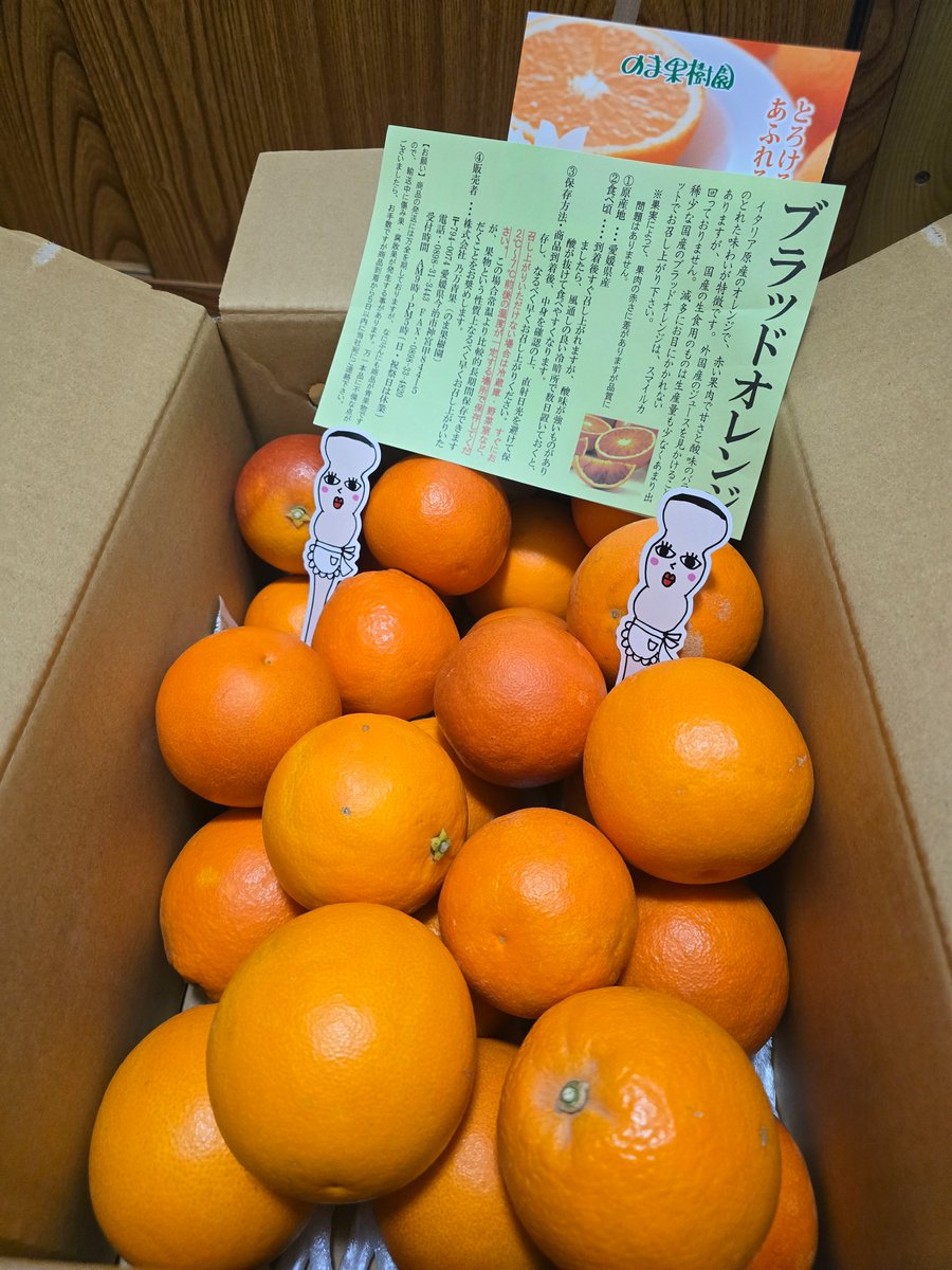 菊水産業株式会社【公式】(国産つまようじ屋) tweet media