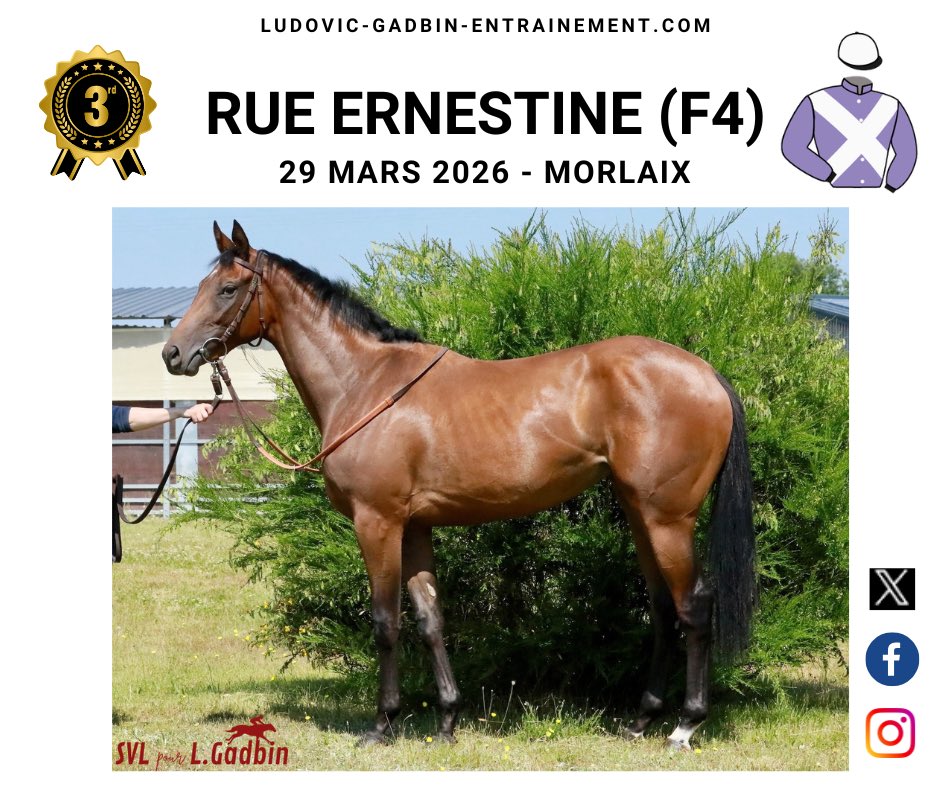 Ludovic Gadbin tweet media