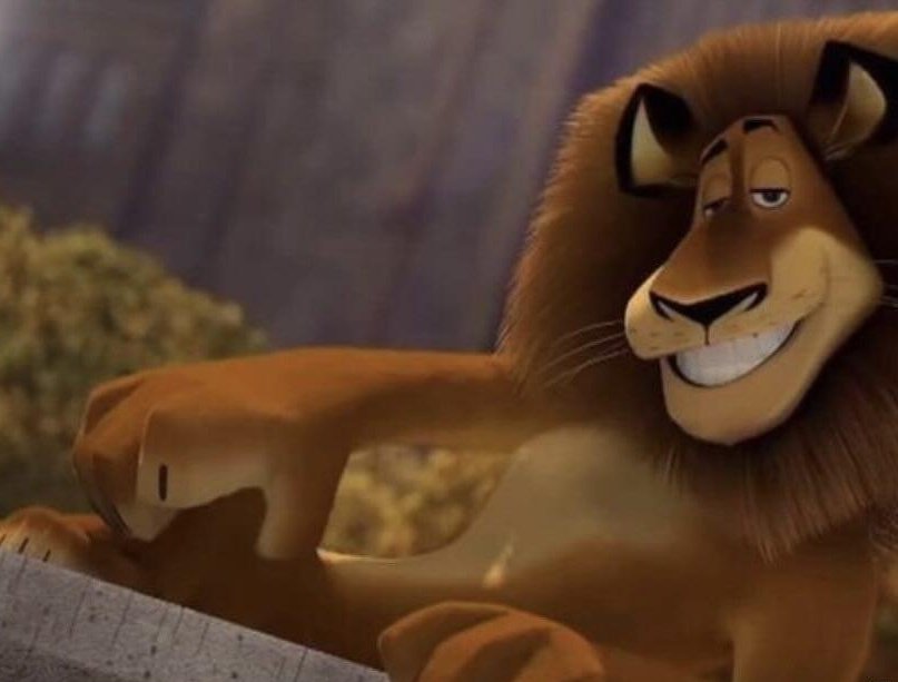 redcheeked diana 🇺🇦 tweet media