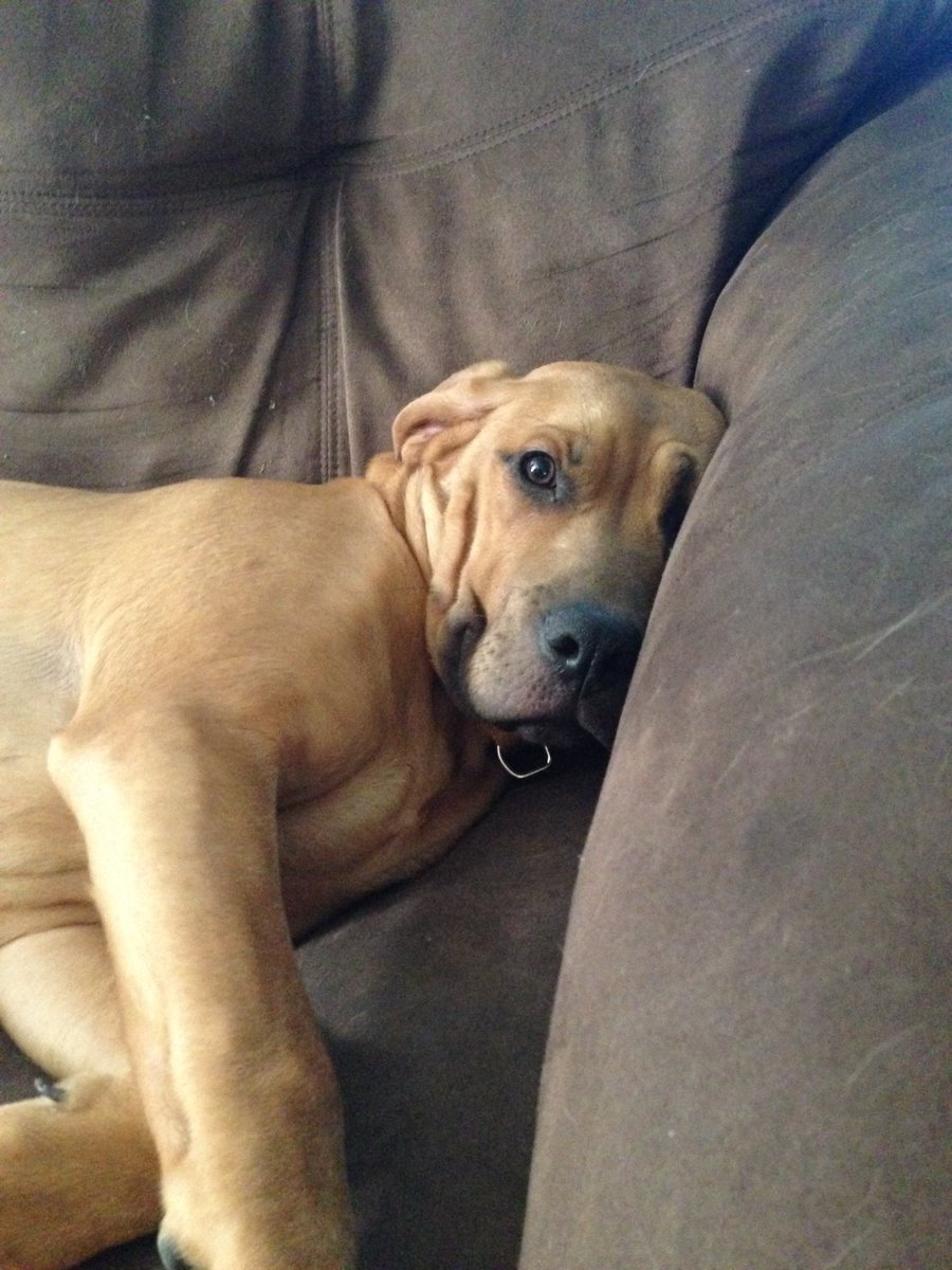 Rob Harvey tweet media