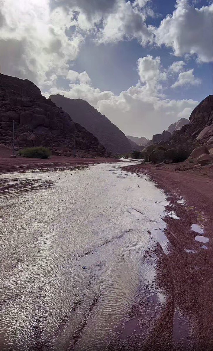 ﮼بسمة﮼أمل🌸✨دخول متقطع✨ tweet media