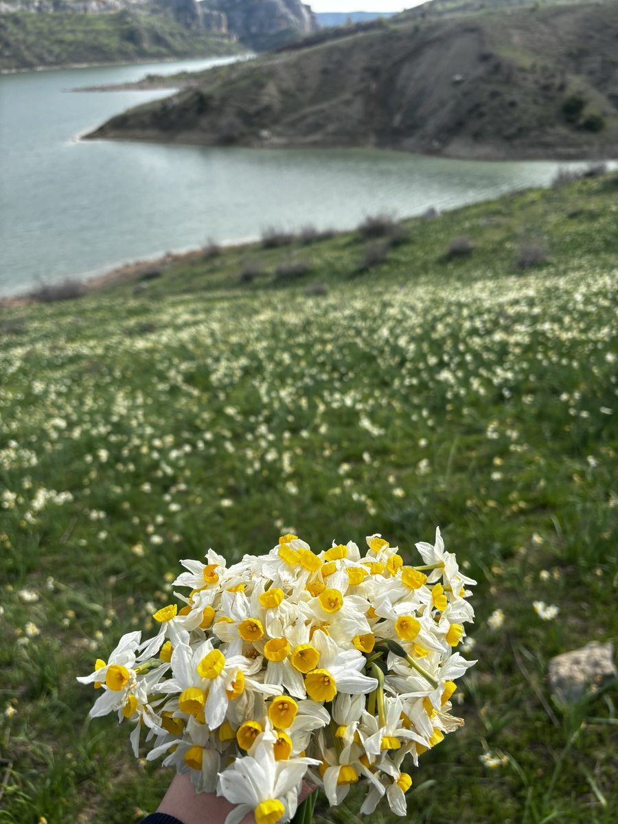 bilinmeyensaat tweet media