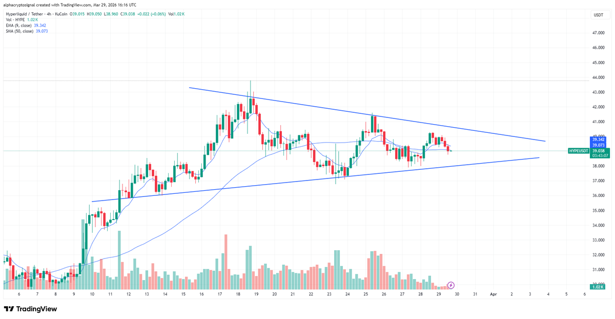 Alpha Crypto Signal tweet media