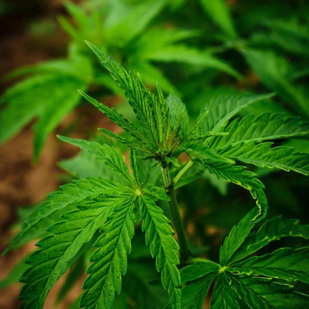 🌐 ᴛʜᴇᴘᴏʟᴀɴᴅɴᴇᴡs 🌐 tweet media