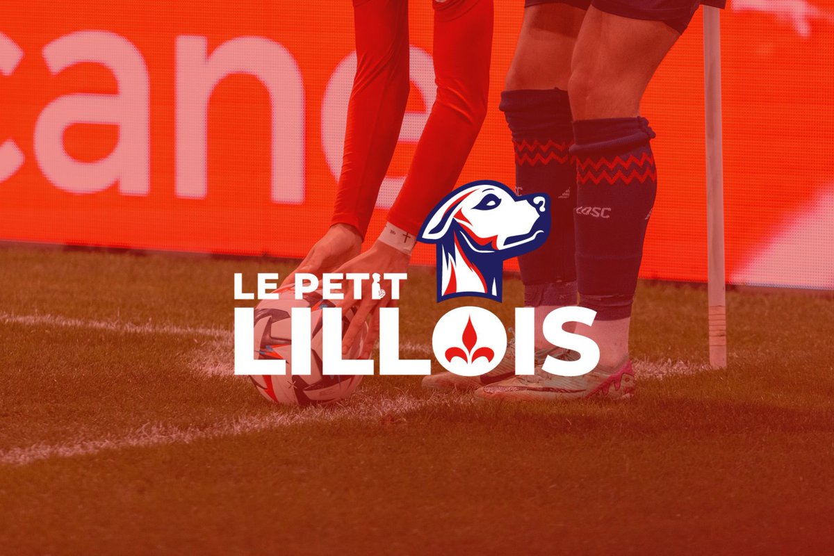 Le Petit Lillois ⚜️ tweet media