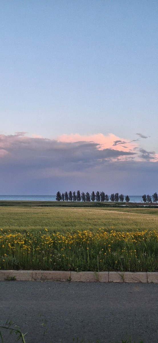 GEMMA J+H tweet media