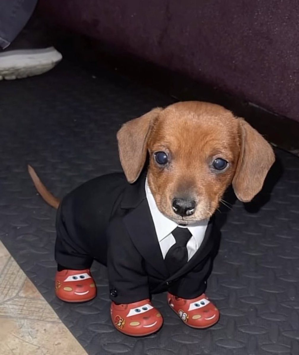 piña sin pizza (@skereunpesado) on Twitter photo 