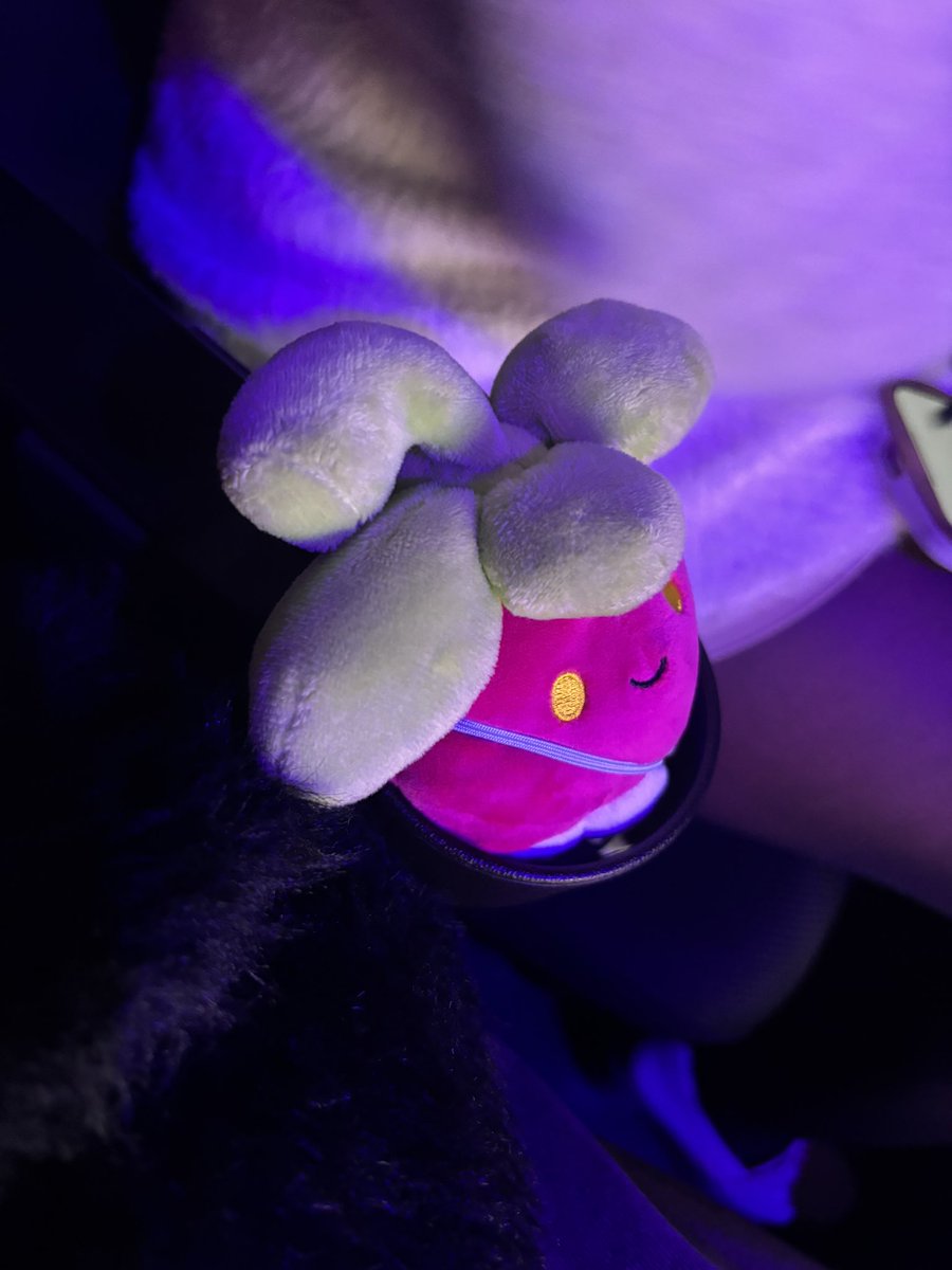 イベルです。 tweet media