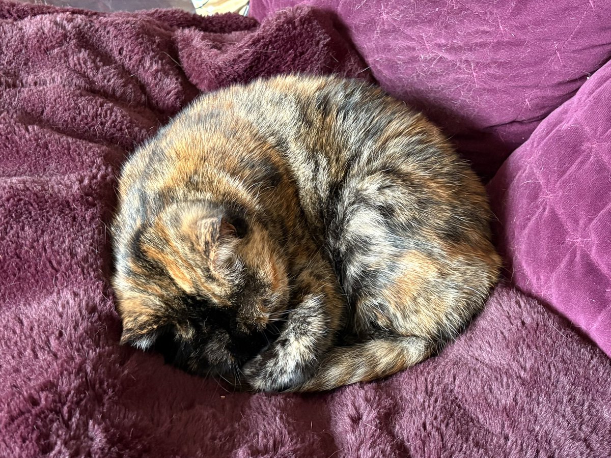 jackson🏳️‍🌈🍂 tweet media