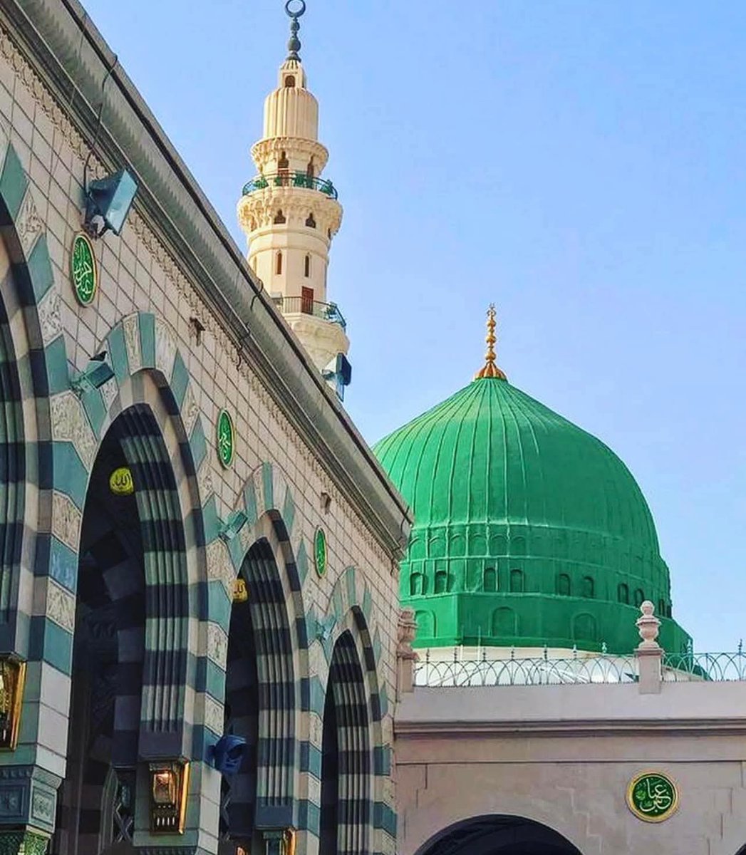 خاک مجھ میں کمال رکھا ہے
  مصطفیٰ ﷺ نے سنبھال رکھا ہے