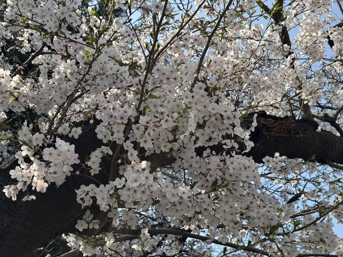 趣味のお部屋 tweet media