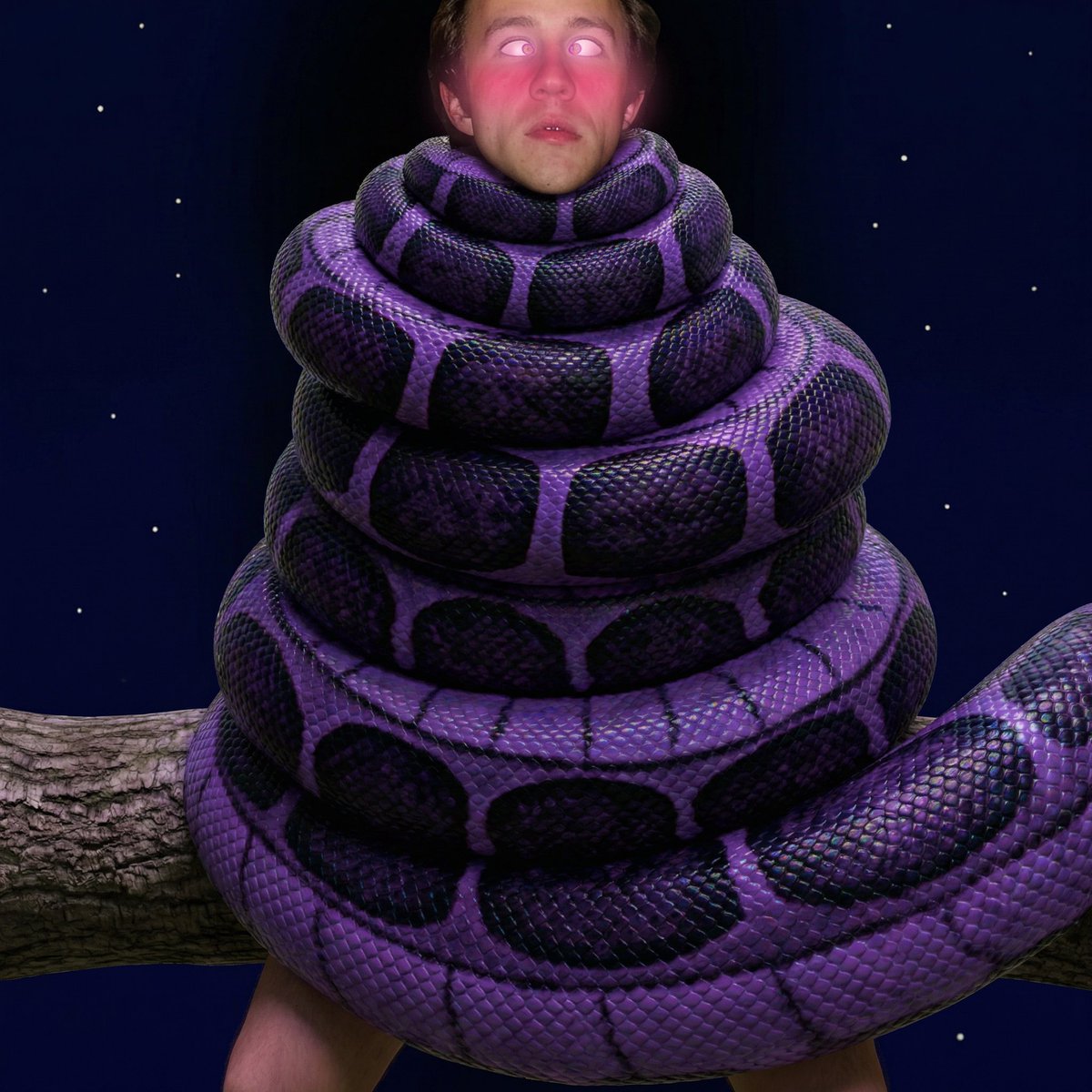 HelplessMancub tweet media