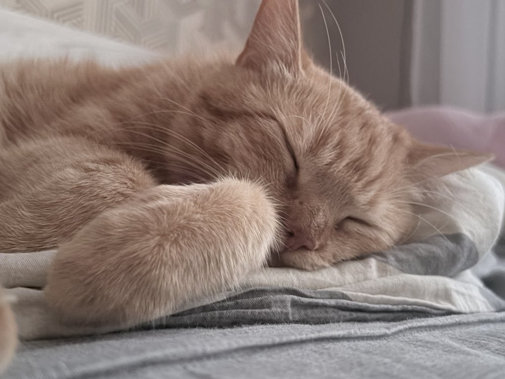 this is miitta🕴️ tweet media