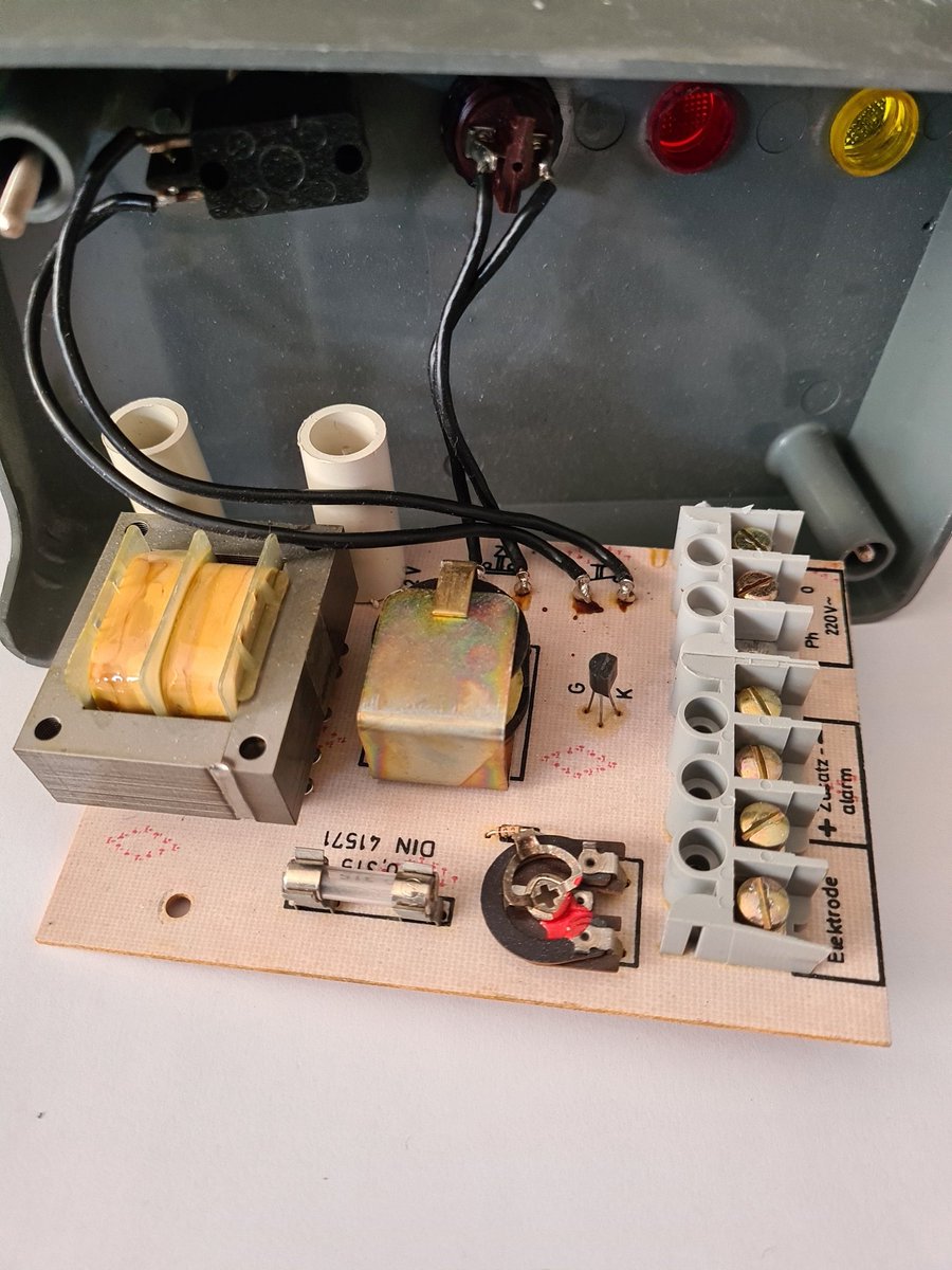 Diesel-Talahon Bernd tweet media