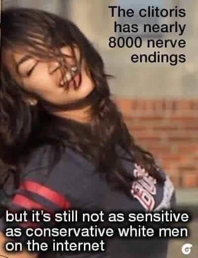 Weblizard ♻️❤️🌎🚫🤡 tweet media