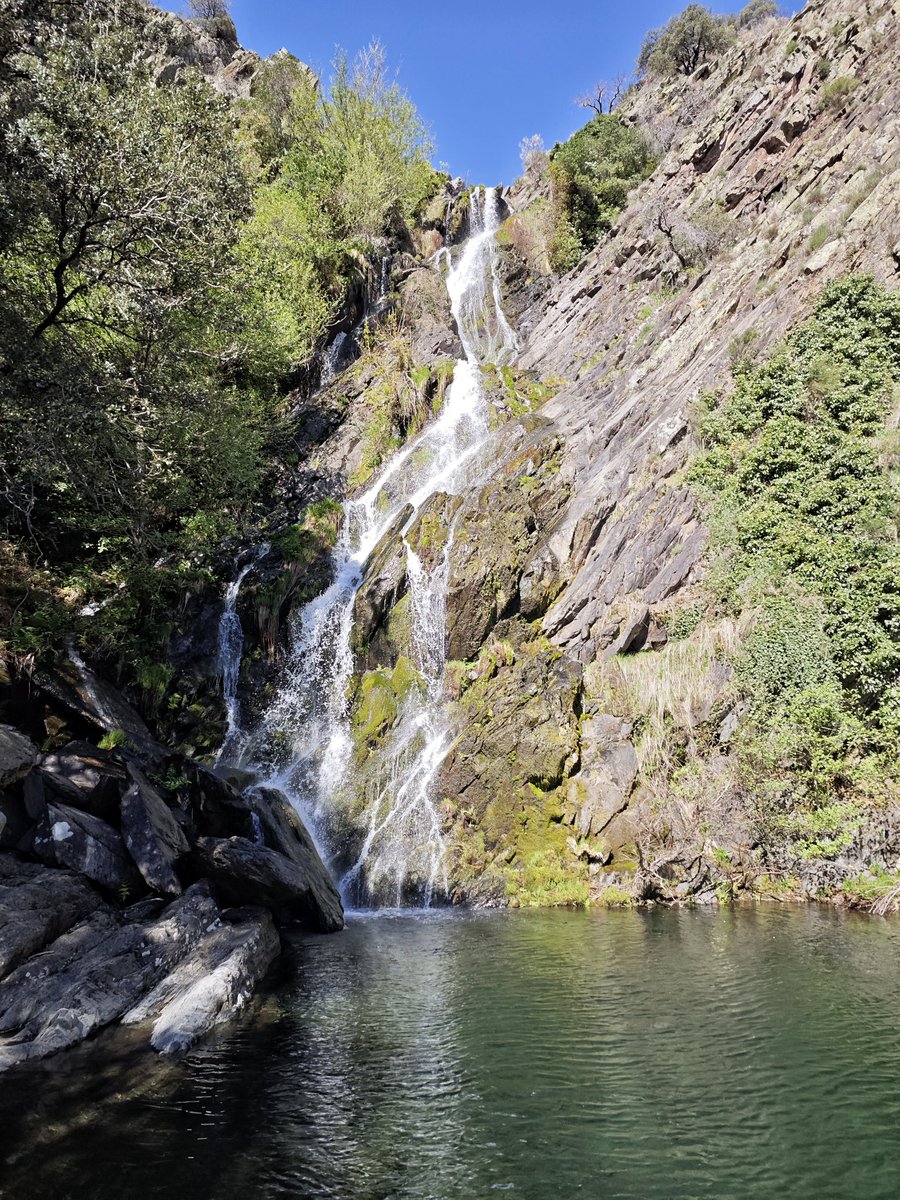 Al Filo Infrüngible tweet media