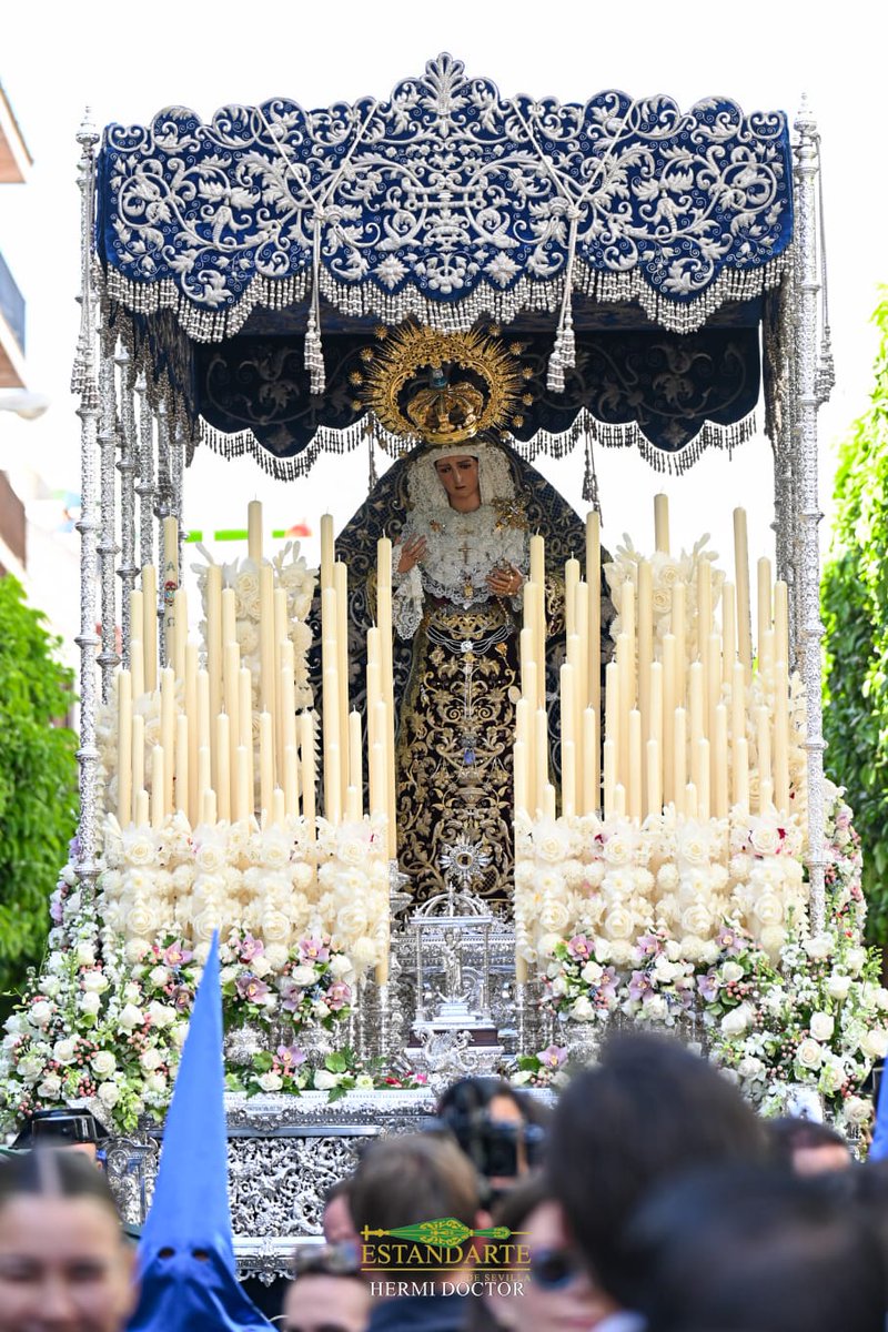 Estandarte de Sevilla tweet media