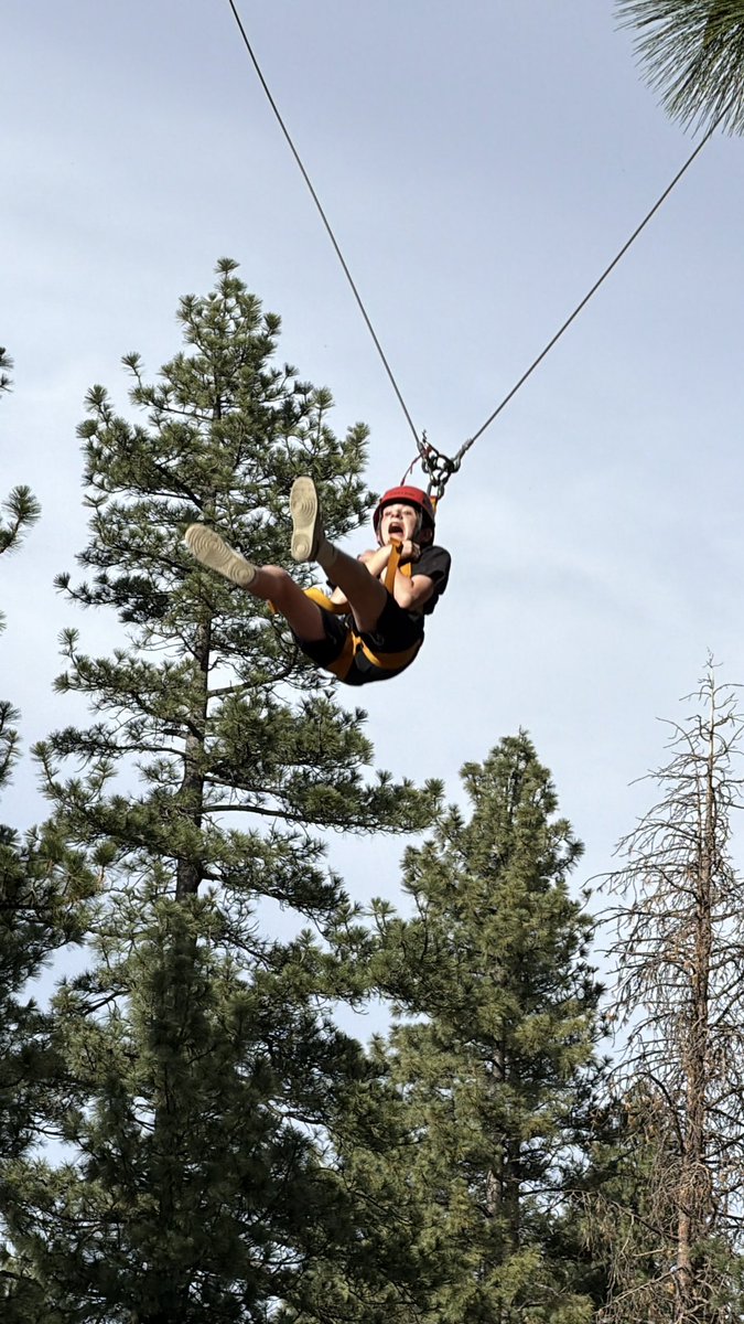 Mr. Lane the STEM Guy tweet media