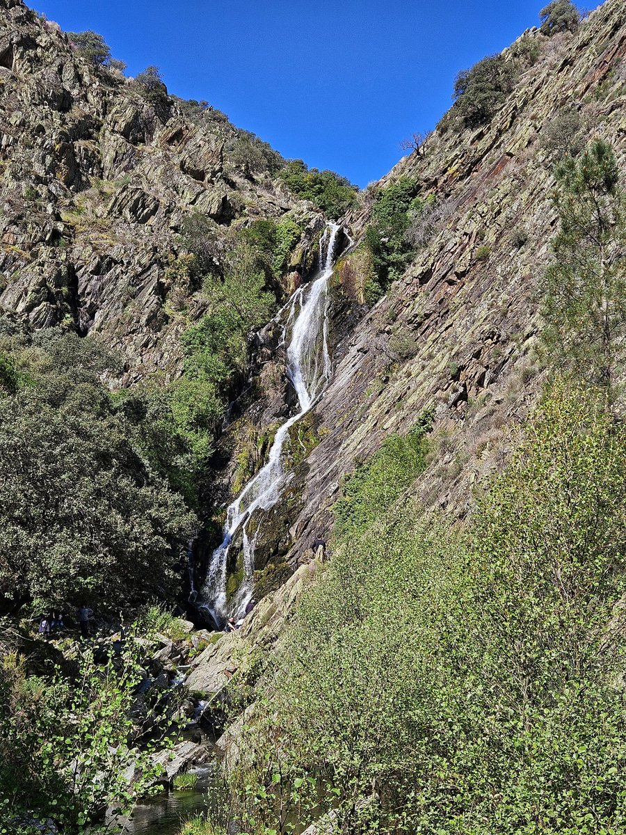 Al Filo Infrüngible tweet media