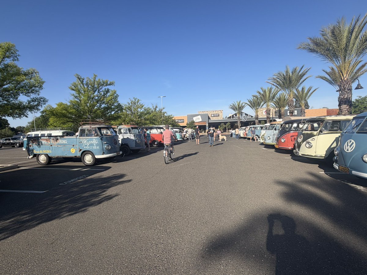 mihalyich🇺🇸 tweet media