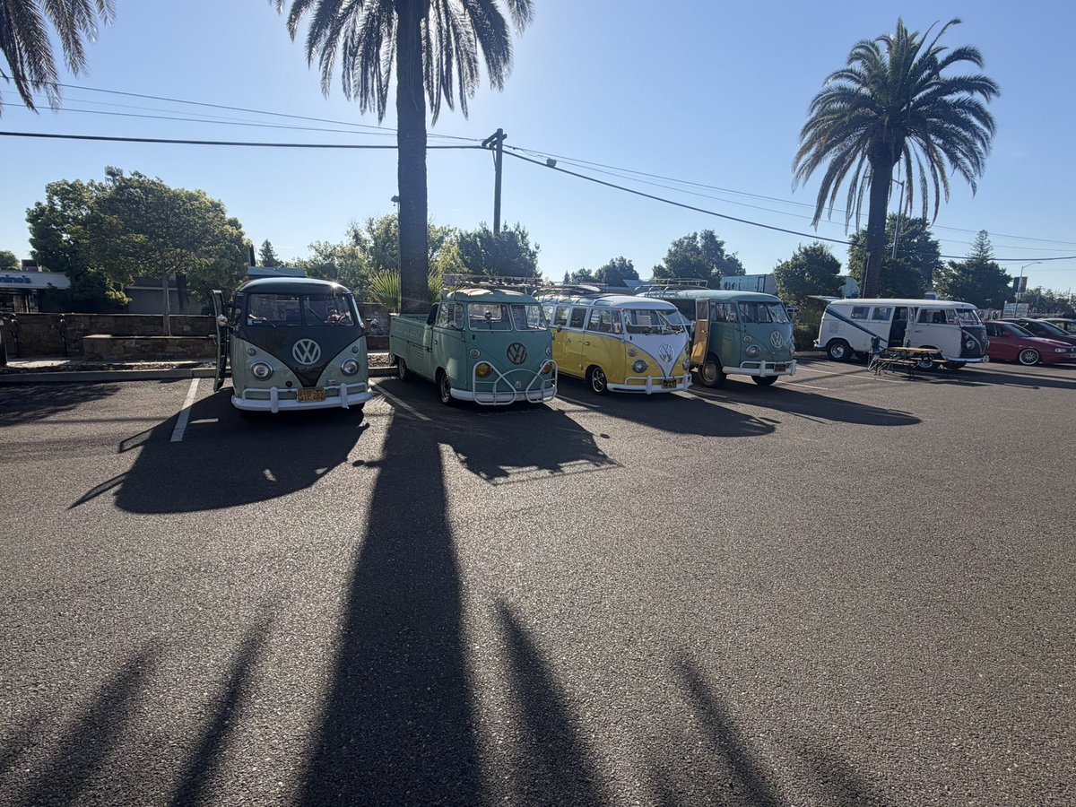 mihalyich🇺🇸 tweet media