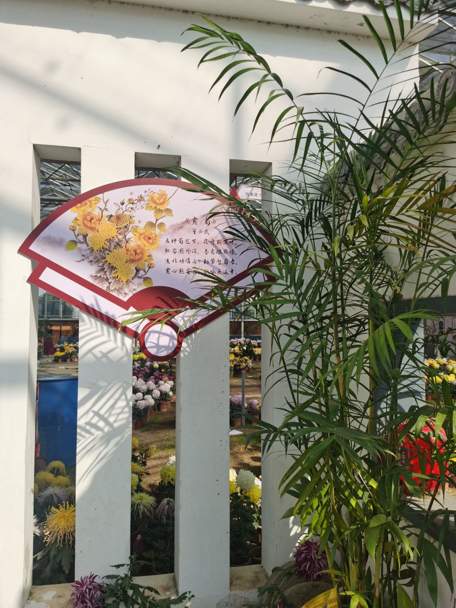 Frankii Howard tweet media