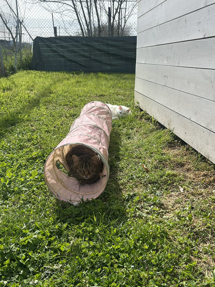 Francesco🎸🧣🐂 tweet media