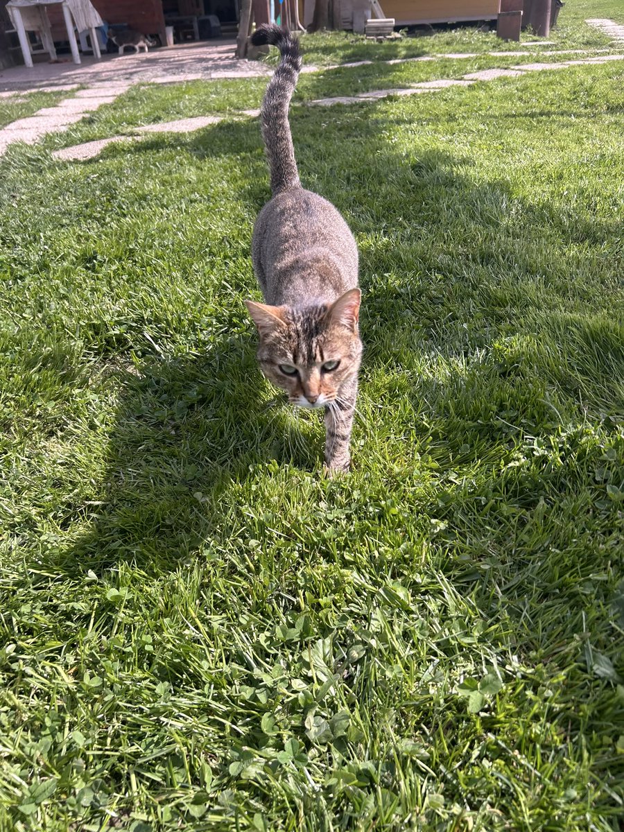 Francesco🎸🧣🐂 tweet media