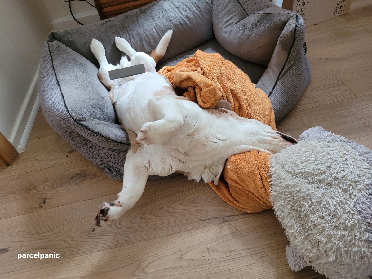 parcelpanic 🖤 tweet media