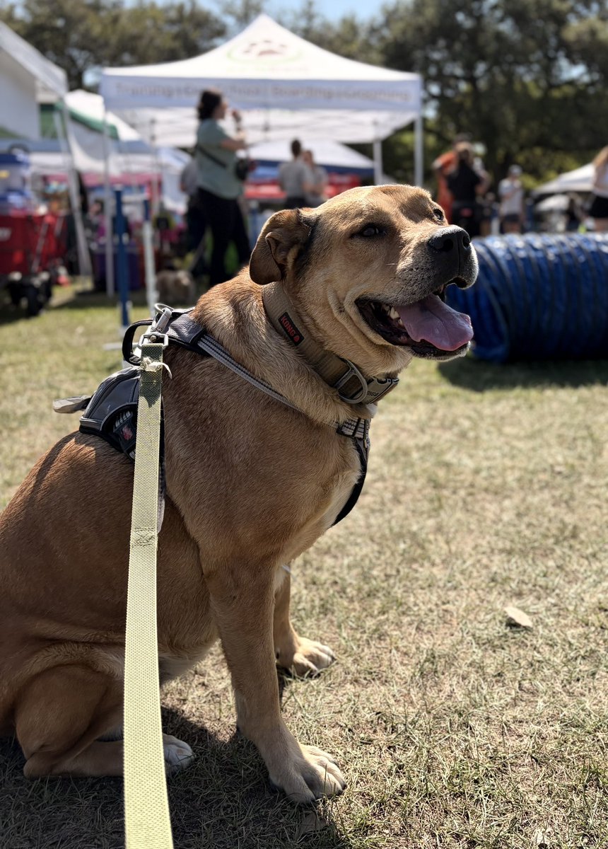 Coffee and Grit tweet media