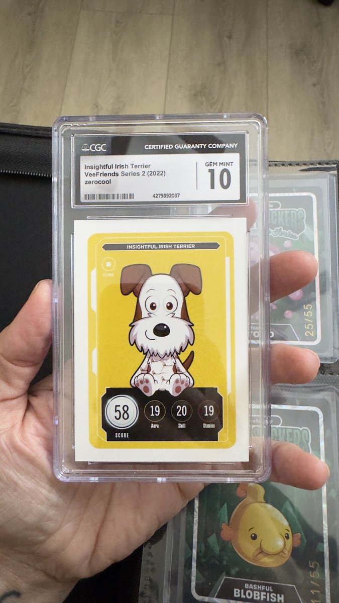 Tasharazzi's tweet image. WHERE IS EVERYONE FROM?! if you are a @veefriends #veefam them please comment below where your from and let’s find our local #veefriends! I am lucky enough to be in a South Florida chat with all the Veefriends here and it’s awesome! Let’s all help each other find our local