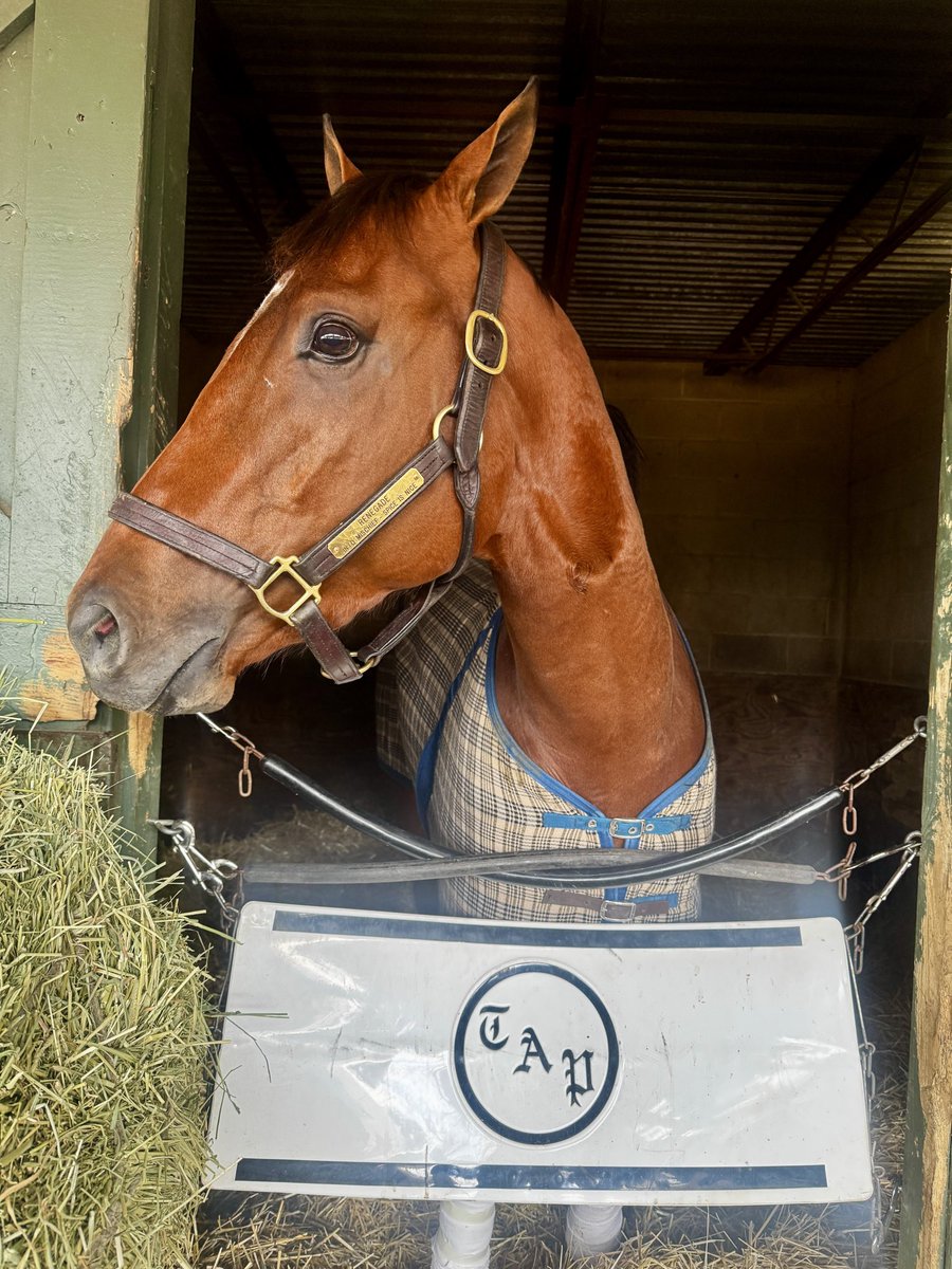 Oaklawn Hot Springs tweet media