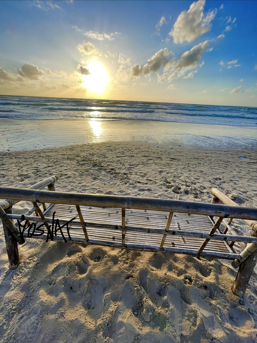 Osnat Hason tweet media