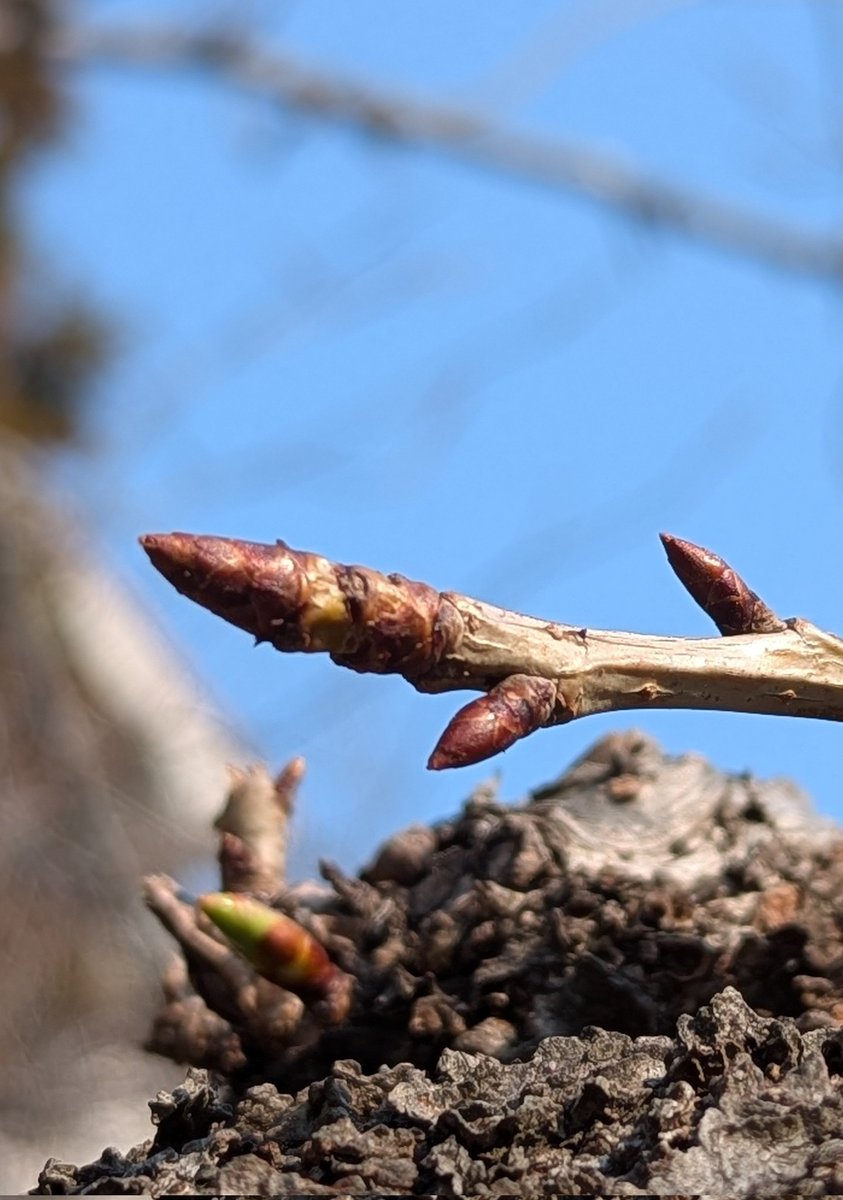 thespiralcity3 tweet media