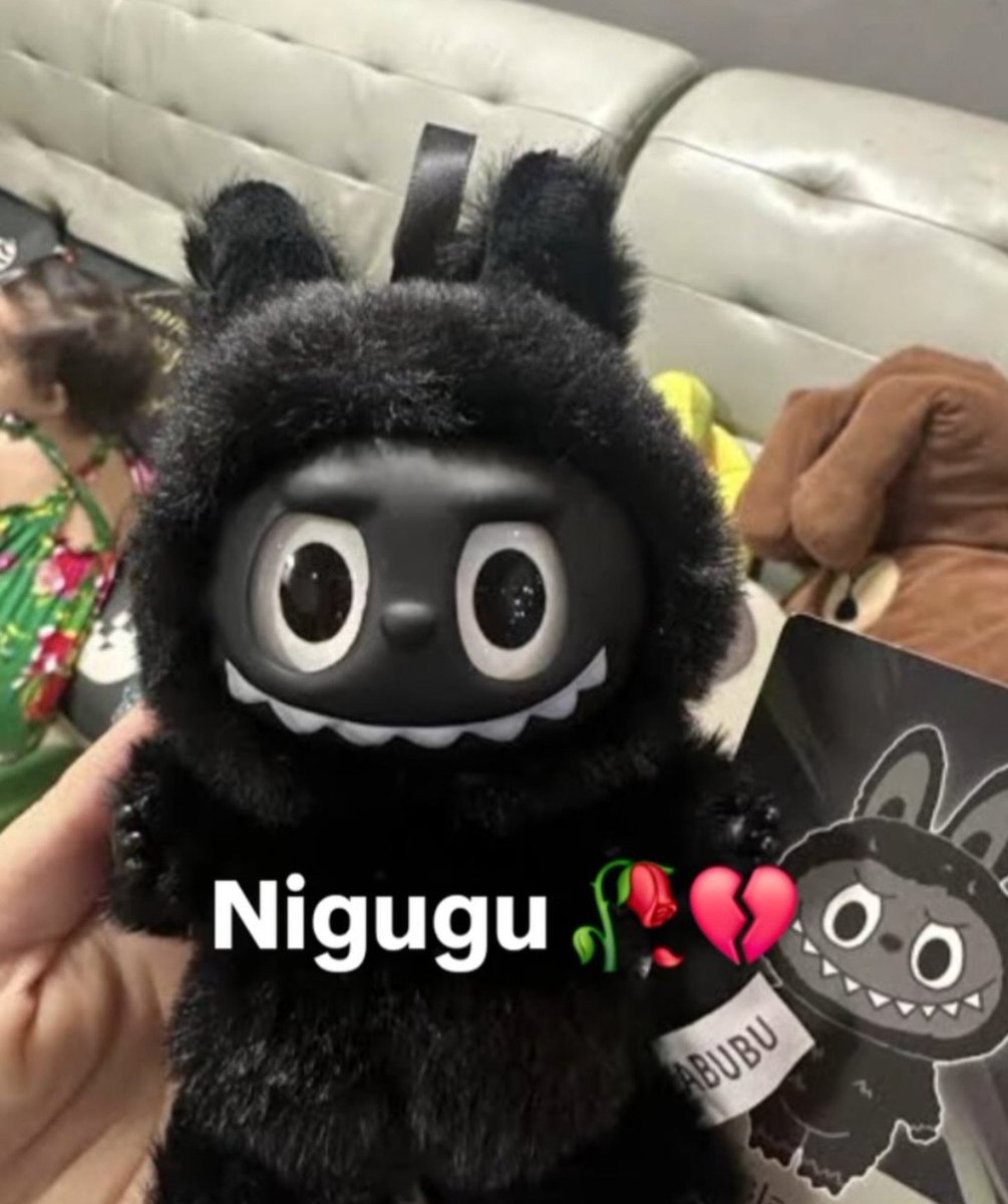 Ginger Bandito tweet media