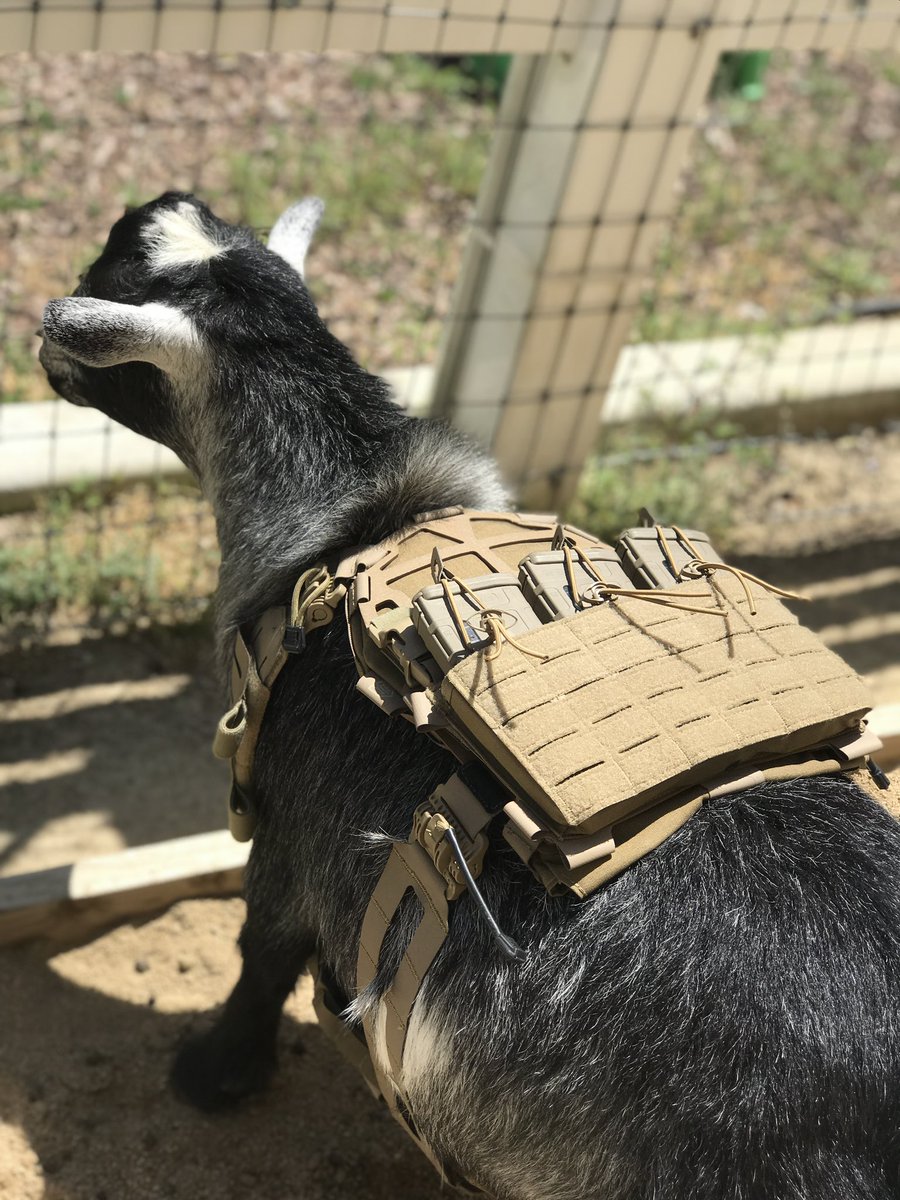 RÈBELs RÄÎDÈRs tweet media