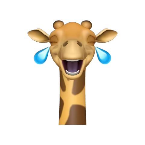 无聊的小x tweet media