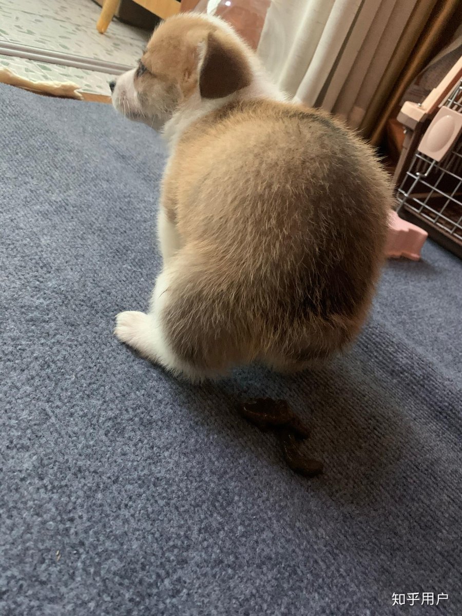 M. Mahboob tweet media