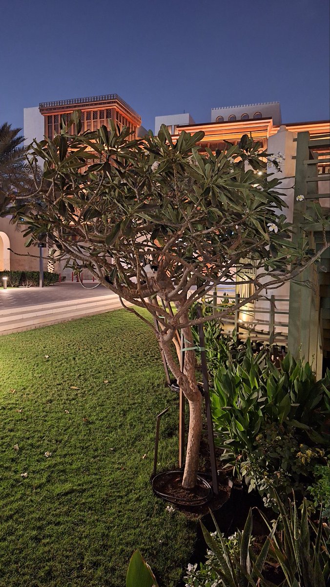 ليلى👑💅 tweet media