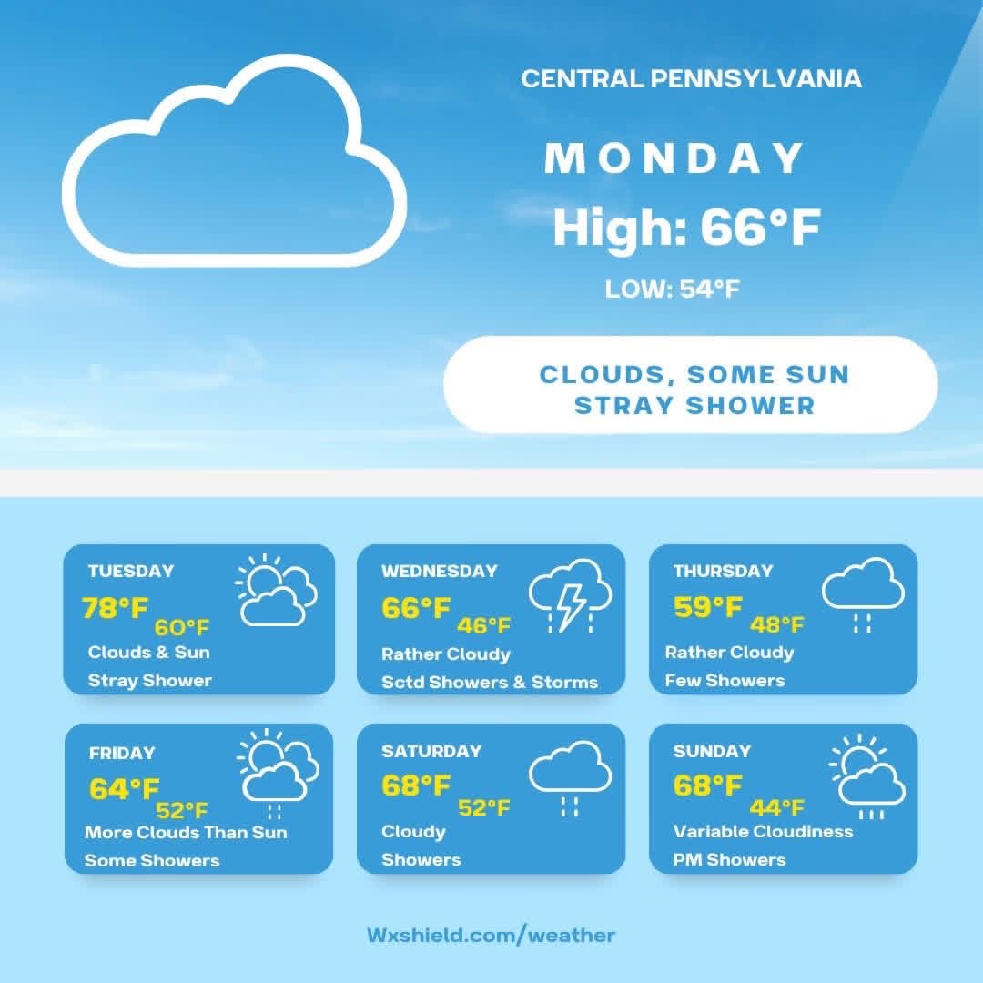 Christy Shields tweet media