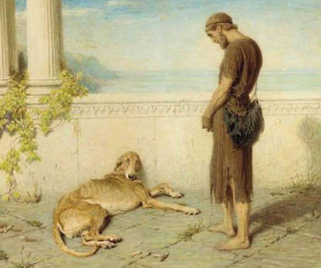 Não Intendo tweet media