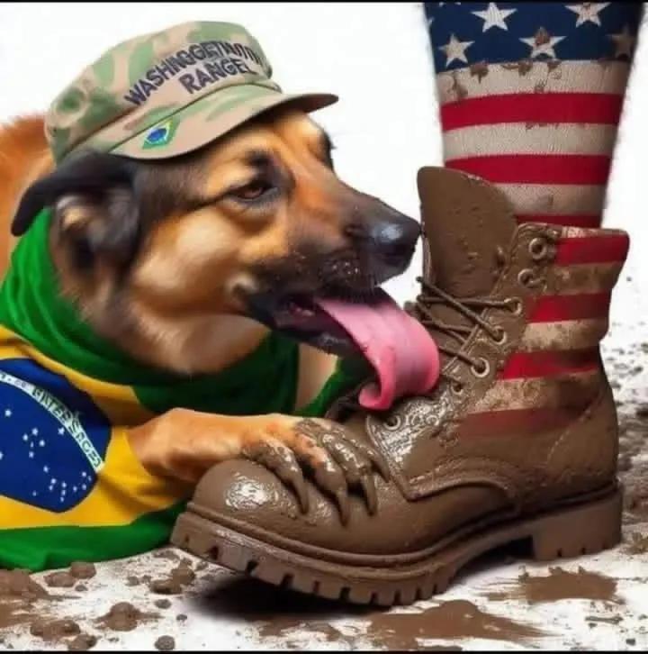 Eu tenho preconceito dos brasileiros que idolatra e exauta o Trump.
Flávio Traidor da pátria