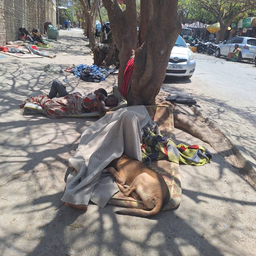 Z Medhin tweet media