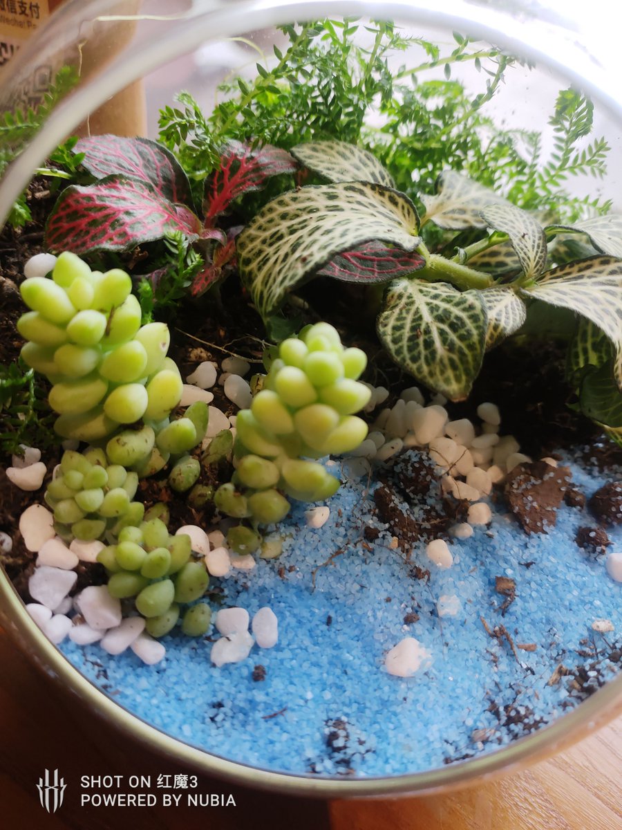 Andrew Bissell tweet media