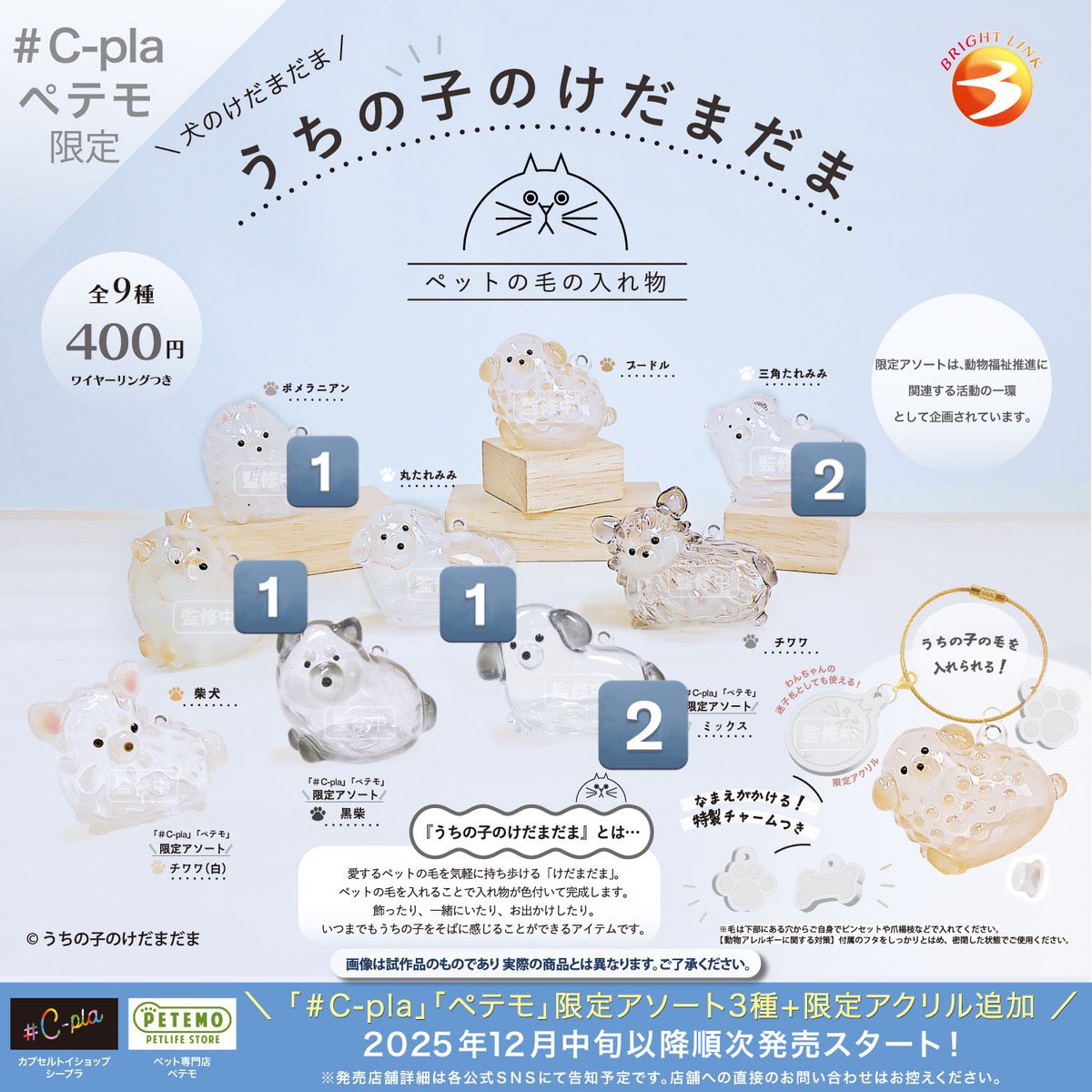 Dax7h's tweet photo. うちの子のけだまだま 犬 買取
譲渡

求 定価➕送料

譲 ポメラニアン、 三角たれみみ、柴犬、丸たれみみ、ミックス、 https://t.co/SSAnsJyJRE