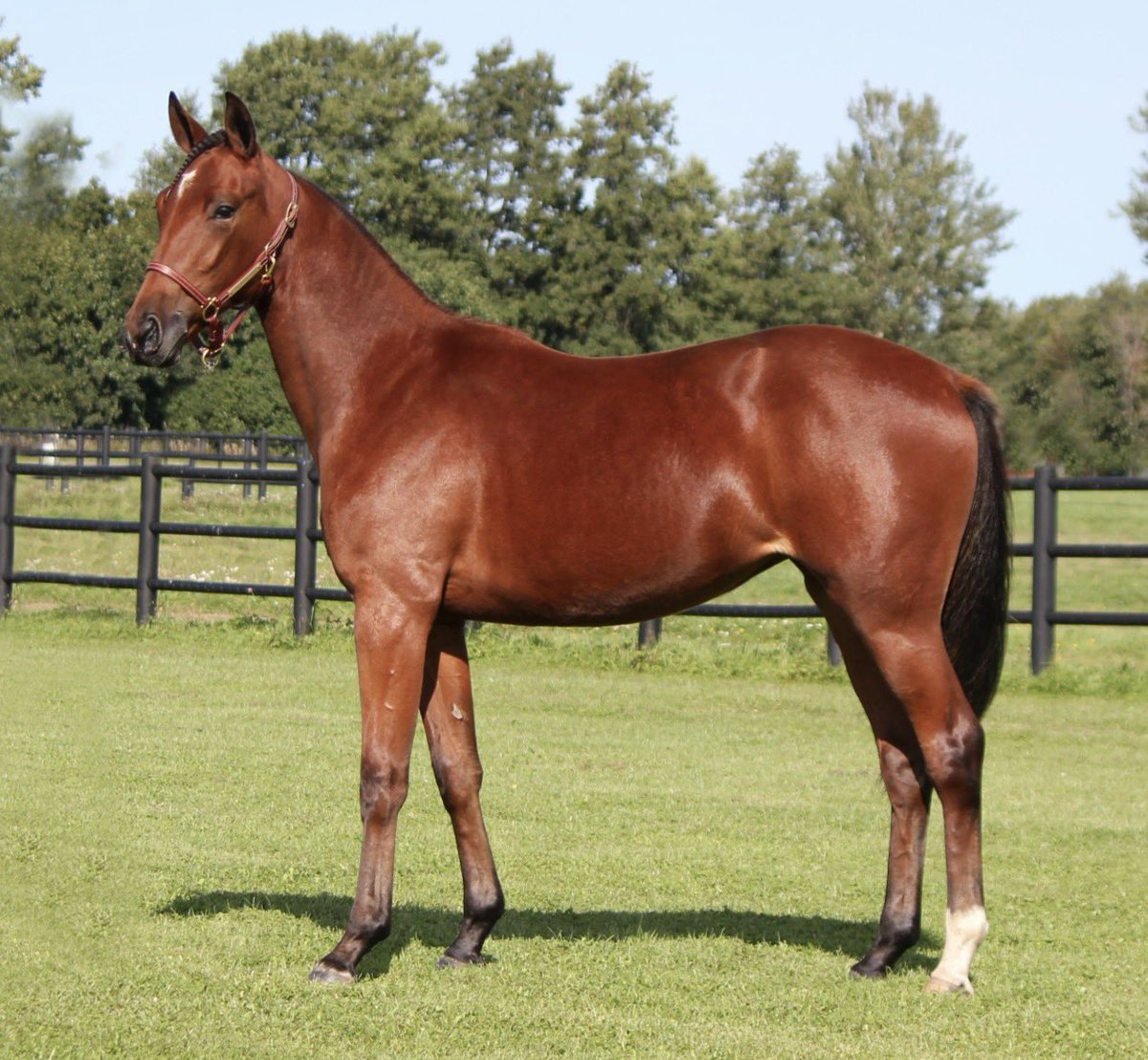 Madelen Ohlzon tweet media