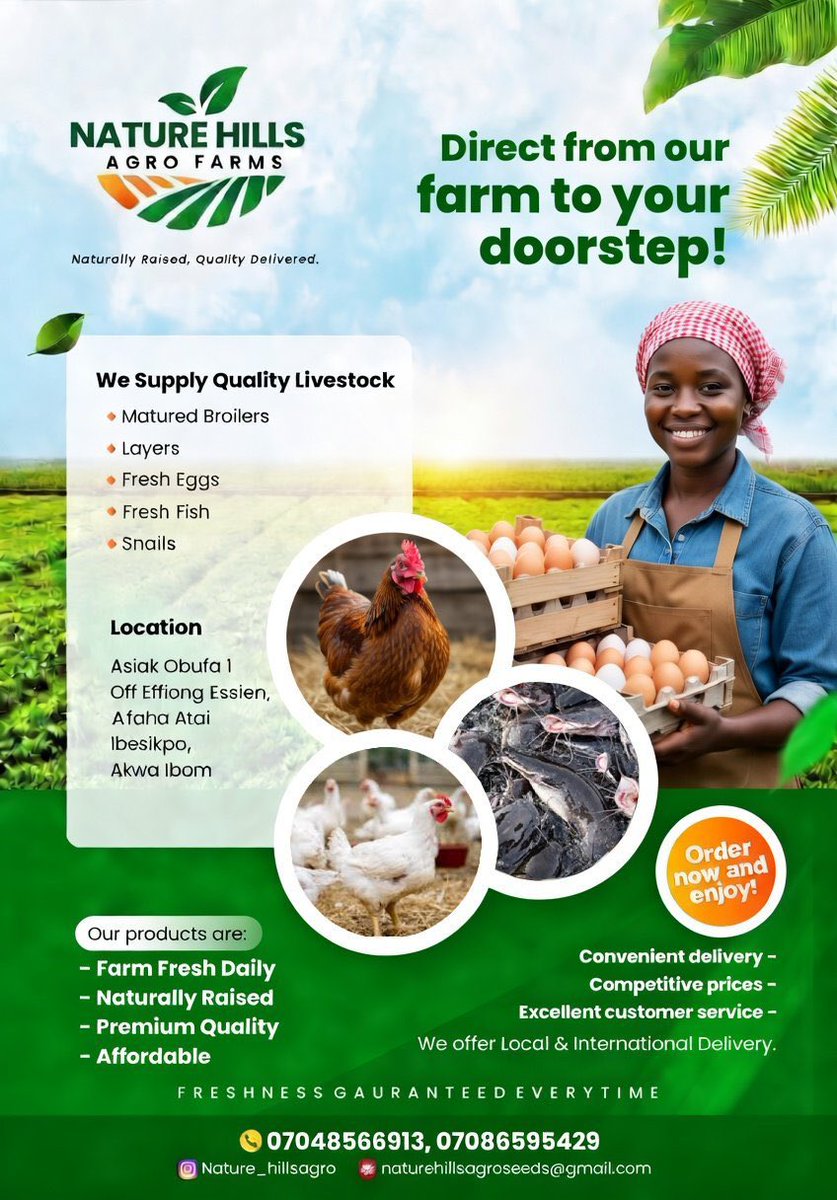 void🪐 tweet media