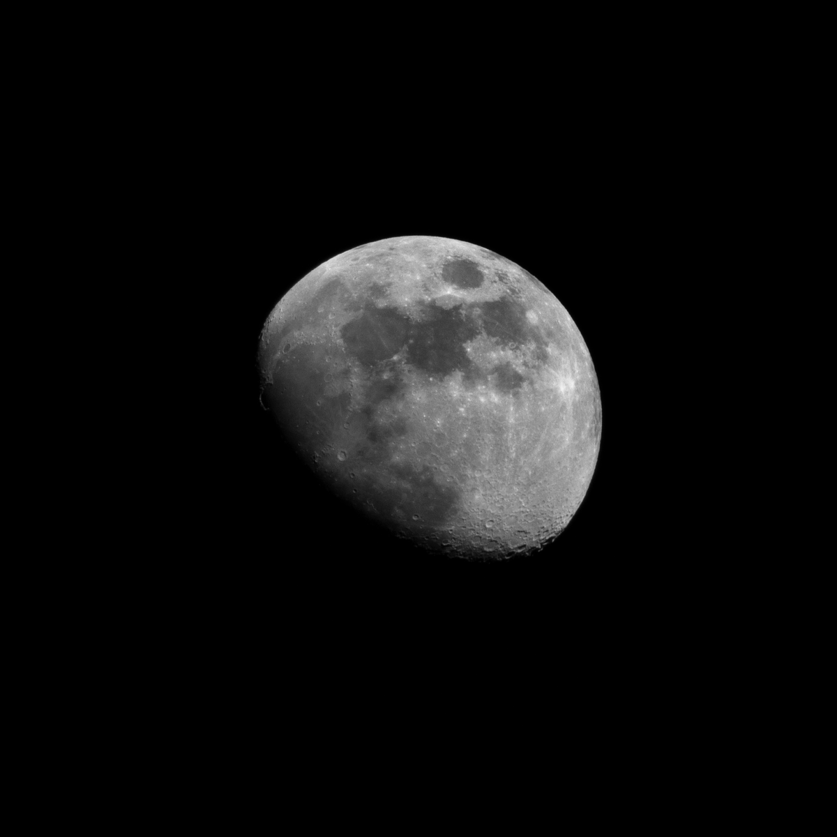 dpoddolphinpro's tweet photo. ARTEMIS II: I asked the crew if there were any features of the moon they were most excited to see, personally & technically.

Commander Reid Wiseman: "[...] Human eyes have never ever seen that before. That's cool."

🎥 @NASA | 📷 Myself