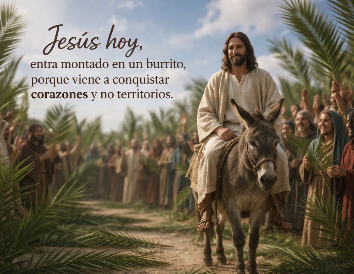 Luz Ernestina Mejia tweet media